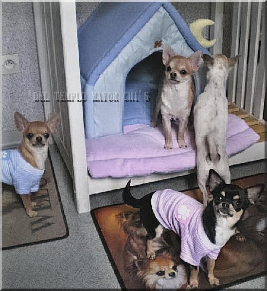 Photos de groupe